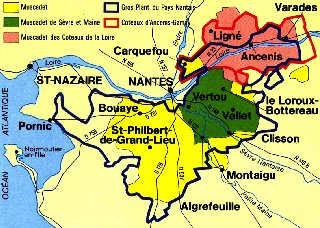 Rgions de production